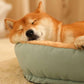 Comfortable Dog Bed-DOGERYS