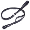 Dog Leash