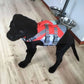 dog life jacket