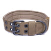 Dog Collars