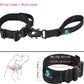 Dog collar and lead set-DOGERYS