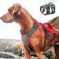 Reflective Comfort Fit Dog Harness