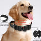 Dog collar and lead set-DOGERYS