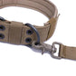 Dog Collars