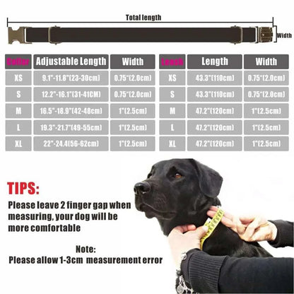 Personalized Dog Collar Lead Leash-DOGERYS