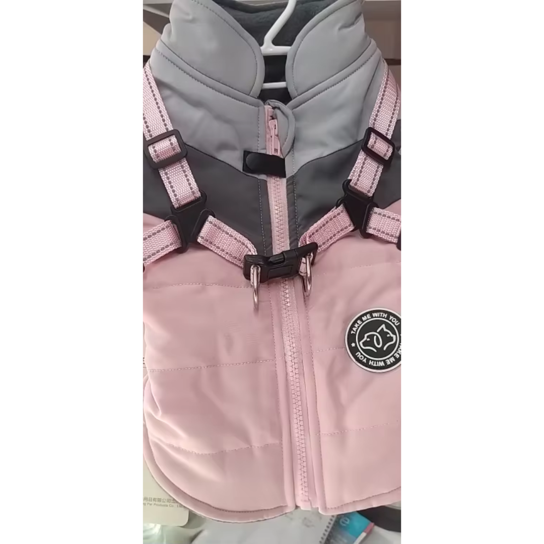 Dog Jacket With Built In Harness