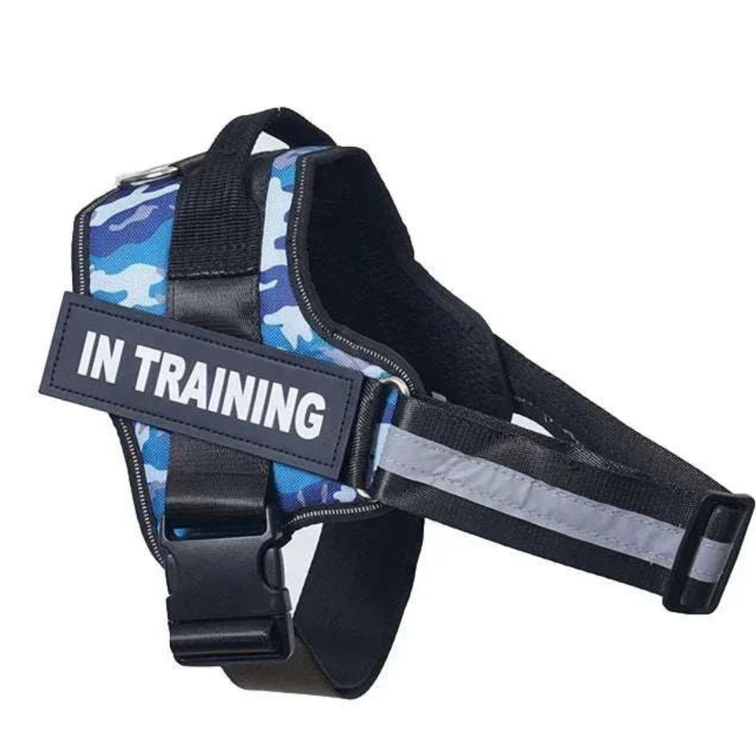 Dog Harness with Name Tag