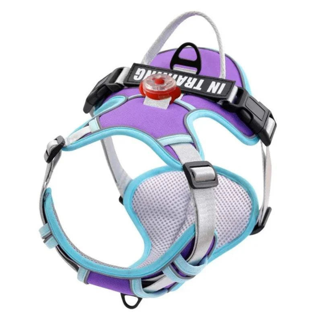 Personalized USB Charged Light Dog Harness