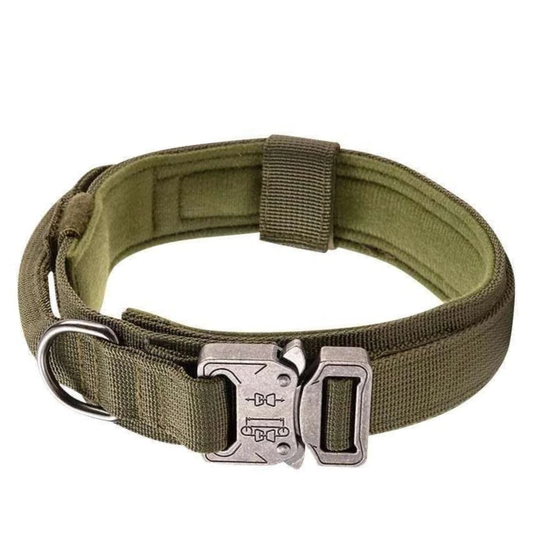 Titan Lock Collar