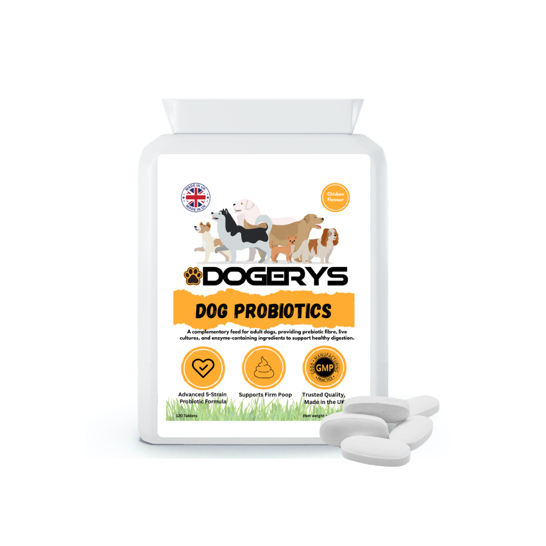Dog Probiotics