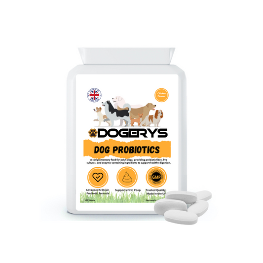 Dog Probiotics